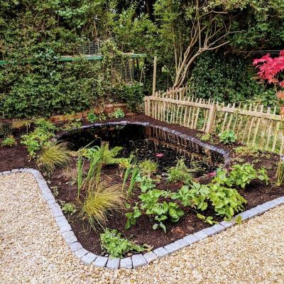 Wild Garden - Springboig